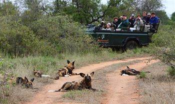 Motswari Private Game Reserve - Timbavati Частный заповедник Класери Экстерьер фото